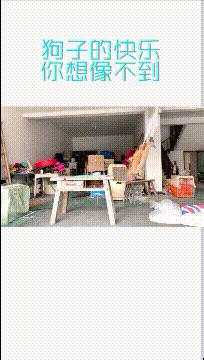 爆搞笑的GIF图片:孩子静悄悄,必定在作妖