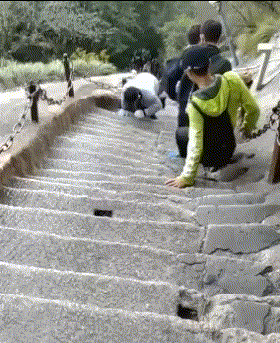 搞笑动图:这才是真正意义上的爬山,必须要爬着走