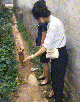 搞笑动图:这年头生娃就是来玩的!