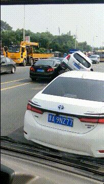 笑痛肚子的GIF图片:狗生太难了,可是我又不敢跳!
