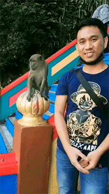 爆笑的GIF动图:这,是喜欢上了新郎?故意的?