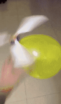 爆笑的GIF动态图:真的不想干了,想去看看外面的世界!
