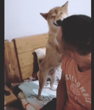 爆笑的GIF动图:没喝上三两斤是走不出来这个效果的!