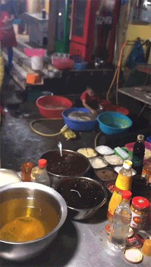 精彩GIF动图:成精了!乌龟居然都会笑了!