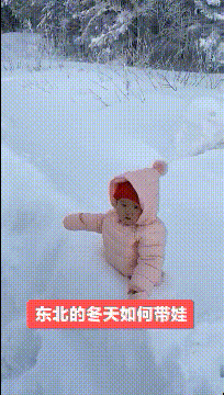 精彩GIF动图:成精了!乌龟居然都会笑了!