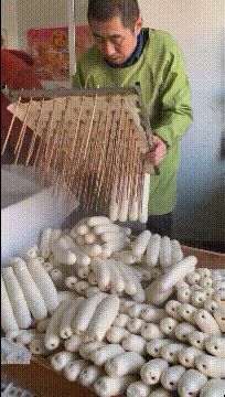 精彩GIF动图:成精了!乌龟居然都会笑了!