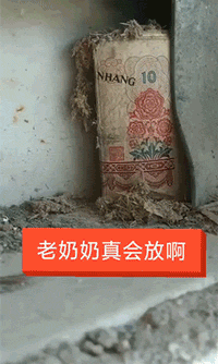 精彩GIF动图:成精了!乌龟居然都会笑了!