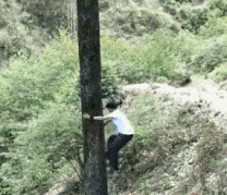 爆笑的动图图片:吃货的人不怕你搞事,神技能已get!