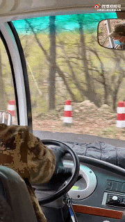 爆好笑的GIF:死鬼,你还有闲心玩手机!