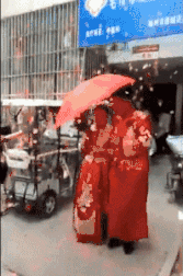 很好笑的GIF:这是黄瓜出了轨,还是石榴变了心?