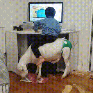 好笑的GIF图:还好我在中间坐着,感觉这两人就要亲上了