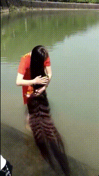真好笑的GIF图片:忽然感觉这个工作也不是那么香了