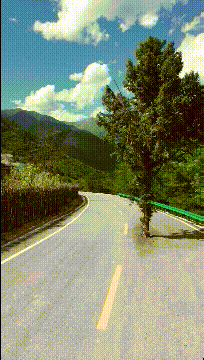 真好笑的GIF图片:忽然感觉这个工作也不是那么香了