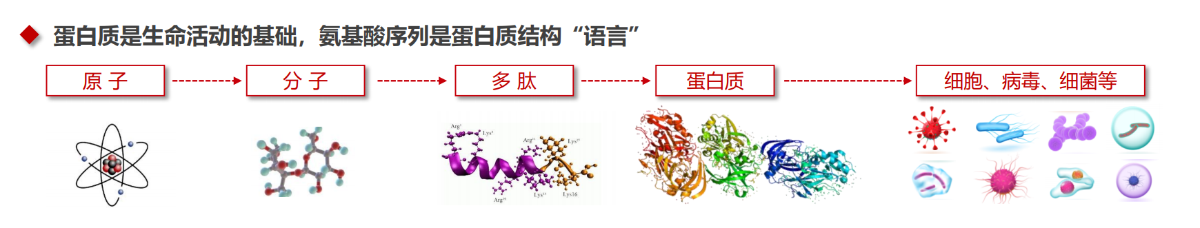 告别“十年磨一剑”的制药模式 神农平台开启“AI+制药”时代-锋巢网
