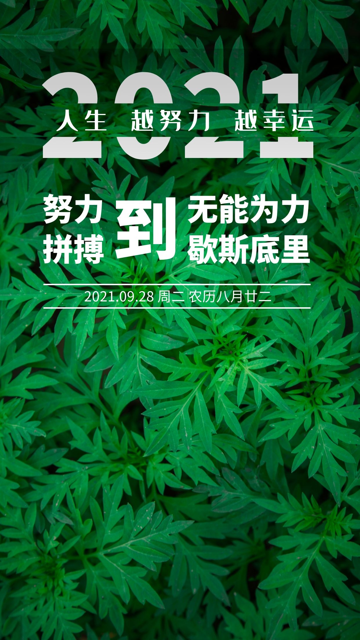 早安心语正能量励志图片语录，一句话早安正能量语录