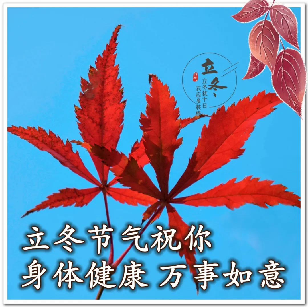 立冬早上好动态表情图片，立冬早安问候图片