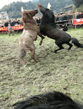 太搞笑的GIF：怎么能这样，宝宝也好想吃