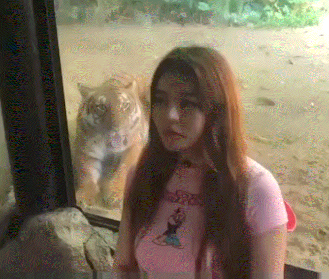 笑弯腰的GIF：这女的到底经历了什么？？！！