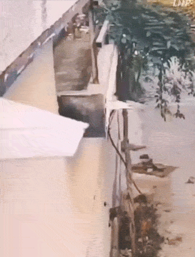 笑弯腰的GIF：这女的到底经历了什么？？！！