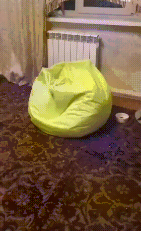 搞笑的GIF动态图：快乐，我也想要！