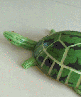 爆笑的GIF：刚离婚？车都分割一半了！