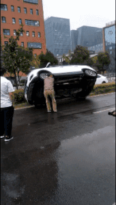 搞笑的动图：这个狗子的舌头真优秀，安排！