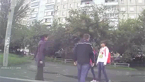 搞笑的动图：这个狗子的舌头真优秀，安排！