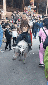 搞笑的动图：这个狗子的舌头真优秀，安排！