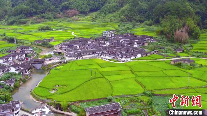 “河长”绘出闽西乡村新画卷：水清河美 宜居宜游