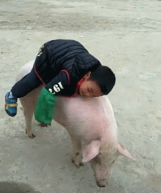 搞笑动态图：长挺好的，干啥不好啊