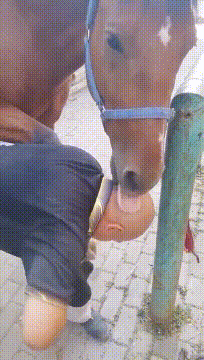 精彩的GIF图片：海南农林科技学校多名女生围殴一男生