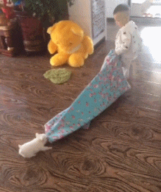 爆笑的GIF图片：要是能像他们一样快乐就好了！