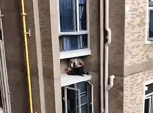 爆笑GIF：看着这打针的手，我比被打的还紧张