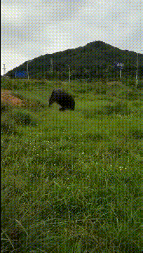 爆笑GIF：这个特效是不是叫“亲子鉴定”