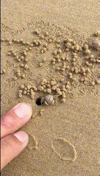 爆笑GIF：这个特效是不是叫“亲子鉴定”
