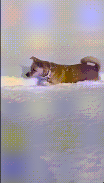 爆笑GIF：这个特效是不是叫“亲子鉴定”