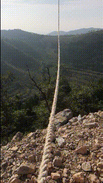 肚子笑疼的GIF：在美国，一言不合就biubiubiu