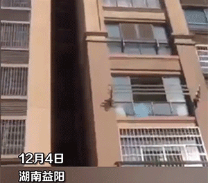 肚子笑疼的GIF：在美国，一言不合就biubiubiu