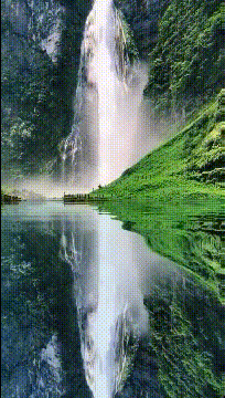 肚子笑疼的GIF：在美国，一言不合就biubiubiu
