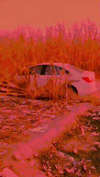 爆笑的GIF：从此不再相信女人