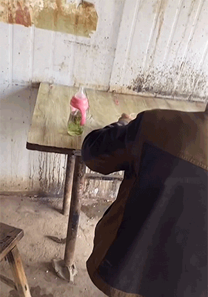 爆笑的GIF：从此不再相信女人