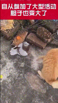 爆笑的GIF：从此不再相信女人