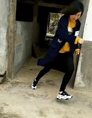 鹅和鸡攻击人类GIF动图大全，好可怕，快跑！