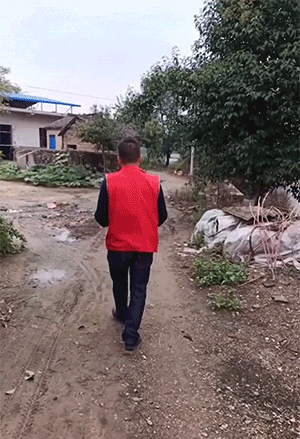 鹅和鸡攻击人类GIF动图大全，好可怕，快跑！