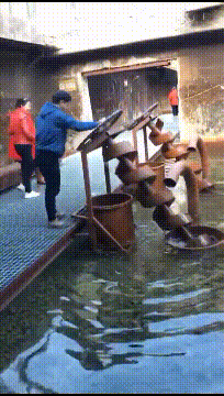 真好笑的动图：厨师第一视角是这样拍的，好怕他们拍出感情啊！