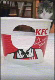 很好笑的GIF：?这表情也是没谁了，酸到五体投地！
