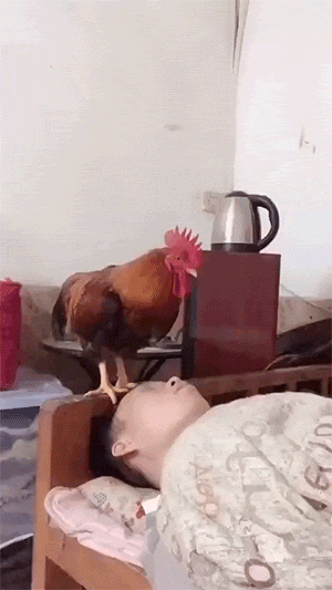 搞笑动态图：很好奇他等会怎么上来