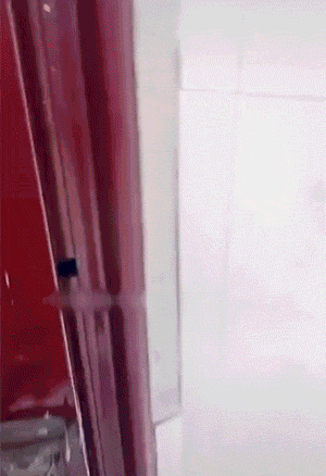爆笑GIF：突然出现的班主任，学生们的反应都太好笑了！