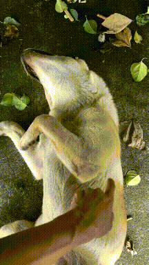 快乐动图：他很快乐，这就够了