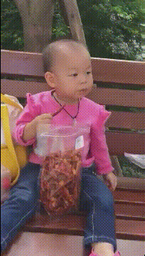 搞笑有趣的动图：现在当只猫都这么卷了吗？